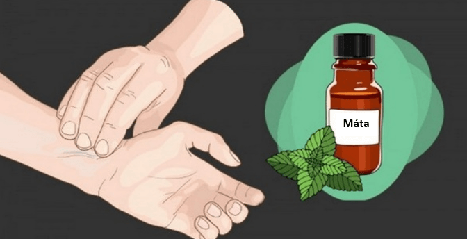 Jak_si_vyrobit_mátový_olej,_který_potlačí_chuť_na_nezdravá_jídla_a_pomůže_vám_zhubnout
