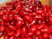 Tyto bobule zachraňují miliony lidí před nejzávažnějšími chorobami!