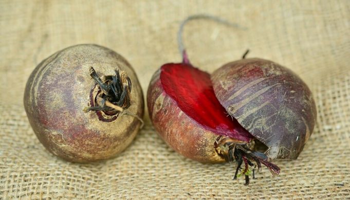 beetroot-2512479_960_720