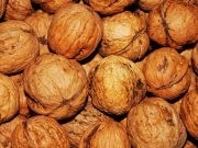 Všichni víme, jak zdravé jsou ořechy, kolik obsahují živin, energie a vitamínů. A co víte o ořechových skořápkách?