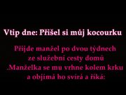 Vtip dne: Přišel si můj kocourku