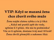 VTIP: Když se mazaná žena chce zbavit svého muže