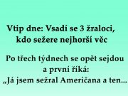 vtip dne: Vsadí se 3 žraloci, kdo sežere nejhorší věc