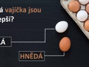 Konečně v tom mám jasno: Jaký je rozdíl mezi bílými a hnědými vajíčky?