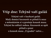 Vtip dne: Tchýně vaří guláš