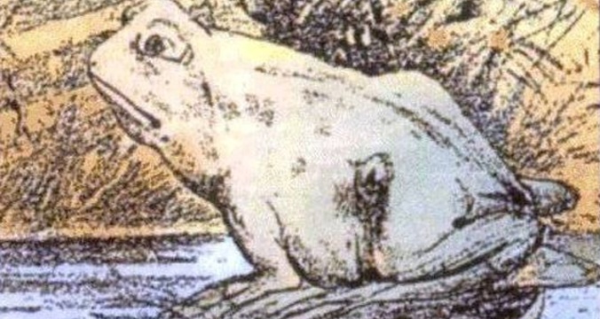 KO
