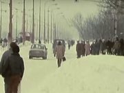 TAKTO VYPADALA SNĚHOVÁ KALAMITA V ROCE 1987. NĚCO TAKOVÉHO UŽ ASI NEZAŽIJEME