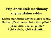 Vtip dne:Kuřák marihuany chytne zlatou rybku
