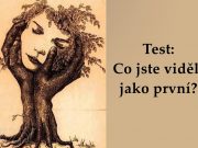 Test: Co jste viděli jako první? Zjistěte své silné stránky!