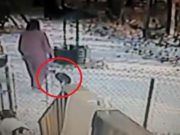 Žena chce kočku vyhnat, nečekala, co se za chvíli stane. Video