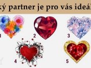 Proveďte test a zjistěte, který partner je pro vás ideální