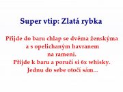 Super vtip: Zlatá rybka