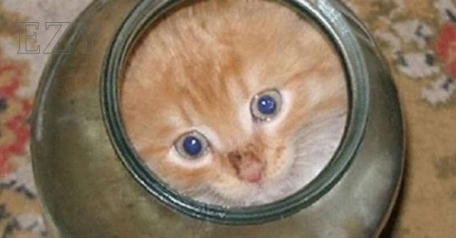 eeeee