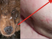 Syn psal vzkaz krví své matce na sněhu, zatímco ho…