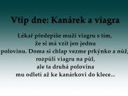 Vtip dne: Kanárek a viagra