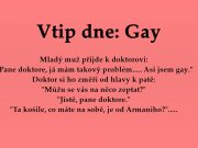 Vtip dne: Gay