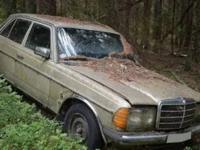 aaa