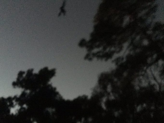 strom