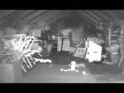 Každou noc byly z podkroví zaznamenány podivné zvuky, takže byla nainstalována kamera. Neuvěřitelné, co viděli na nahrávce! (video)