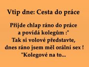 Vtip dne: Cesta do práce