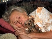 Lidé vidí takové sny krátce před smrtí