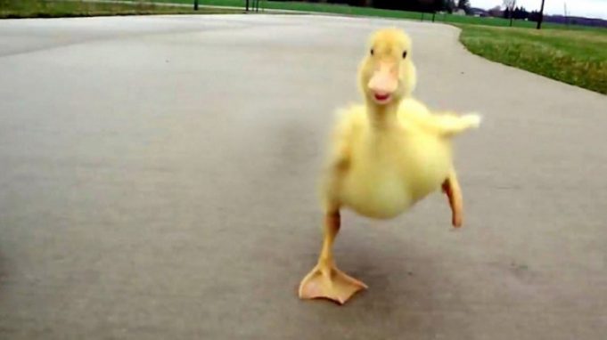ka