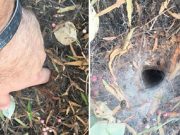 Na dvoře našel díru a strčil prst. Byla to jeho největší chyba v životě