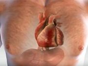 Měsíc před infarktem vás tělo upozorní – zde je 6 příznaků