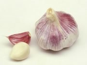 Moje babička namočila česnek do červeného vína! Proto nebyla téměř nikdy nemocný