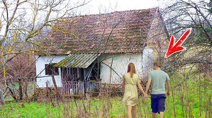 dům