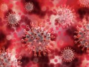 Vědci objevili způsob, jak zničit koronavirus za 25 sekund
