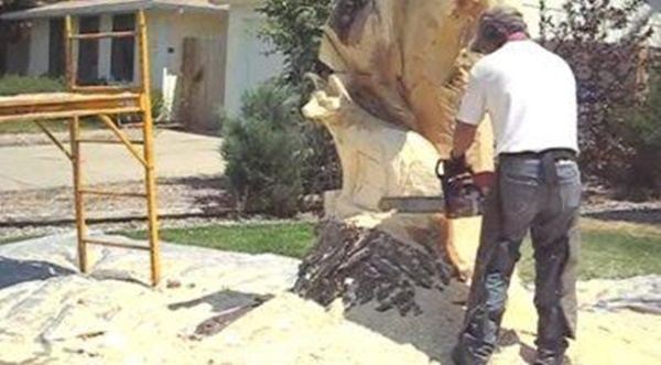 fe