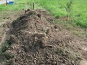Policajti slyšeli hrozné zvuky zpod hromady hlíny – Když se začal hýbat písek, všichni ztuhli!