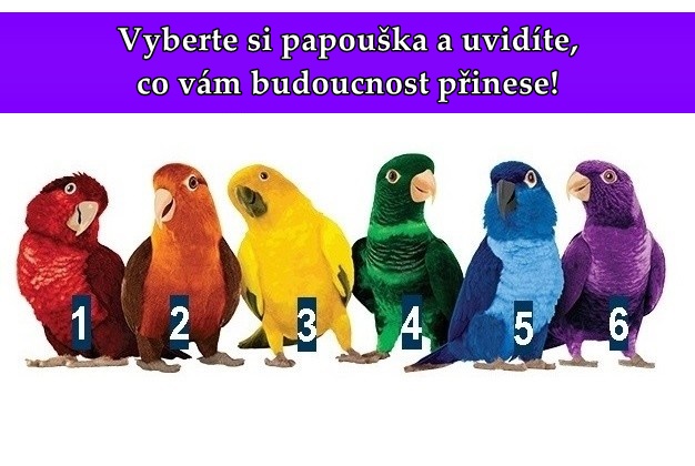 bu
