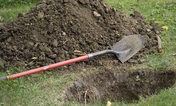 obr