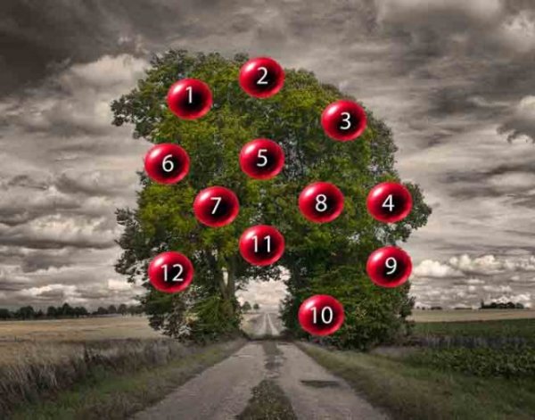 123