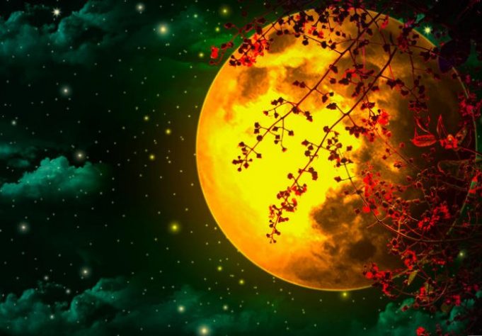 62569471-9878-484d-b088-4eb50a0a0a64-229503-shutterstock-1177015195-ls-690x480