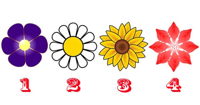 285824422_3541467012746940_3200936018808306919_n
