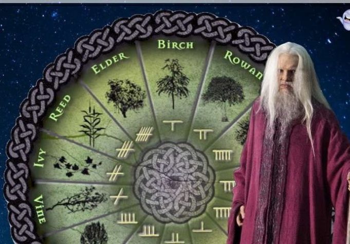 62126e9a-721c-49e3-82ea-46240a0a0a64-1055-keltski-horoskop-prema-kalendaru-drveca-690x480