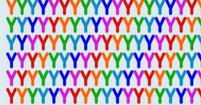 _xlarge