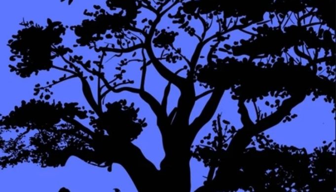 iluzija88-750x430
