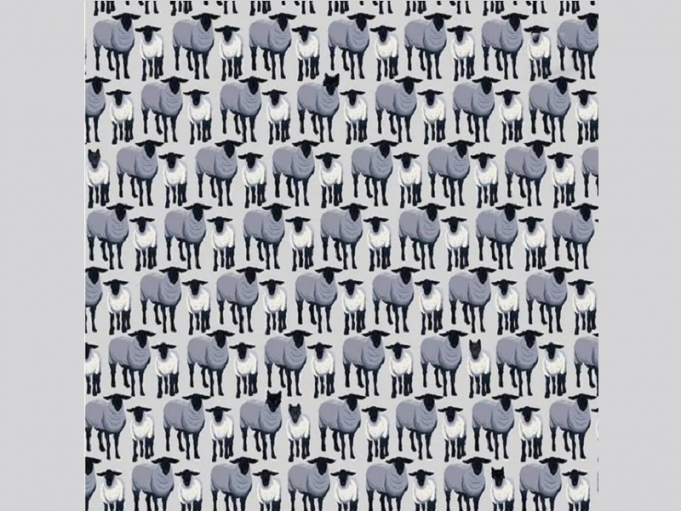 555