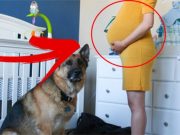 To, co tato žena dělala během svého těhotenství, vám vžene slzy do očí!