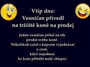 Vtip dne: Vesničan přivedl na tržiště koně na prodej
