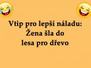 Vtip pro lepší náladu: Žena šla do lesa pro dřevo
