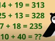 Tuto výzvu může vyřešit pouze skutečný matematický génius