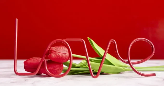 love-decoration-with-tulips