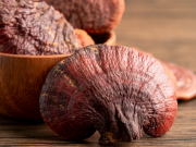 Reishi a dlouhověkost: Proč je v Asii symbolem vitality