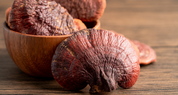 Reishi (5)